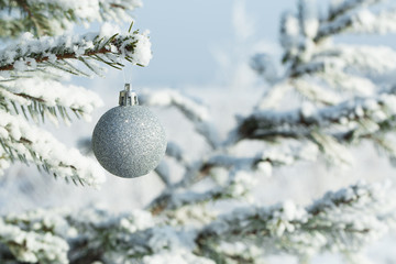 Silver Christmas balls hanging on a branch of fir tree