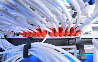 Large group of lilac utp Internet cables in Data Center