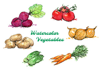 hand drawn set of watercolor vegetables on white background