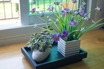 violet flower on vase with light of glass window.