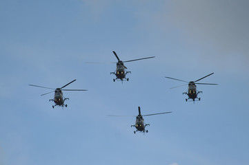 helikoptery wojskowe - obrazy, fototapety, plakaty
