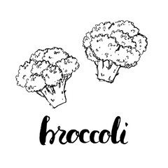hand drawn graphic vegetables broccoli with handwritten words