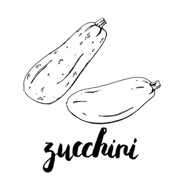 hand drawn graphic vegetables zucchini with handwritten words