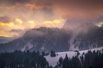 Zelfklevend Fotobehang Mistig bos Puez Odle Natural Park, Trentino Alto Adige, Italy