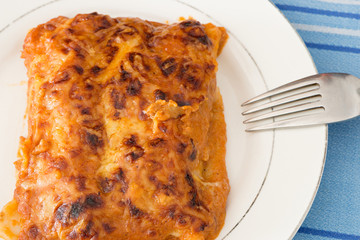 Homemade meat cannelloni