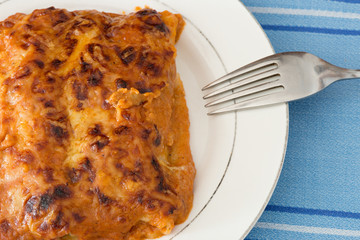 Homemade meat cannelloni
