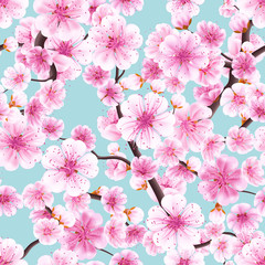 Seamless pink Sakura flowering cherry. EPS 10