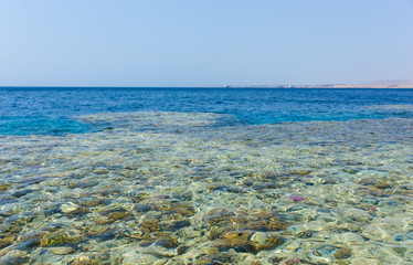 Crystal clear sea with corals and reefs