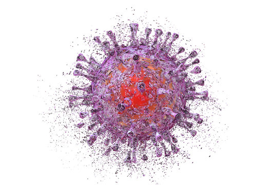 Destruction of cytomegalovirus CMV isolated on white background, 3D illustration. Concept for cytomegalovirus treatment and prevention