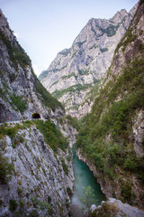 landscape with a river in a mountain pass. vertical image