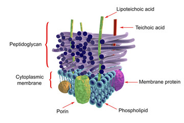 Destruction of Japanese encephalitis virus, 3D illustration, Concept for Japanese encephalitis treatment and prevention