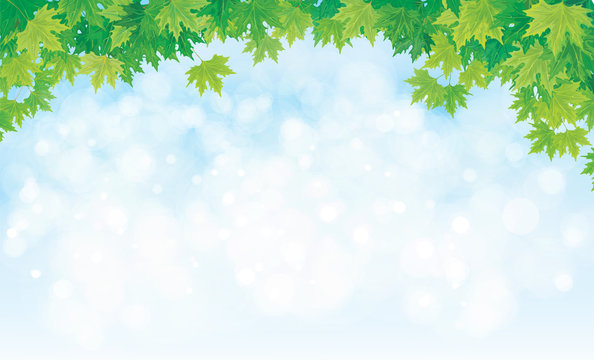 Vector sky background with maple leaves border.