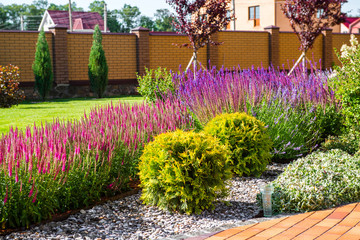 Beautiful backyard landscape design. View of colorful trees and decorative trimmed bushes and rocks