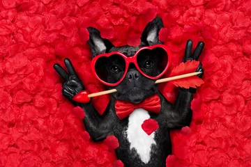 Stickers pour porte Chien fou valentines dog in love
