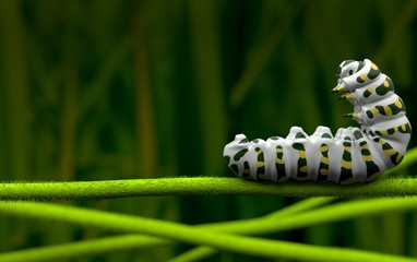 White caterpillar marco photo 3D model  3Drendering