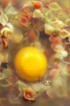 Rovell d'ou Yolk Tuorlo Vitellus Deutoplasma Žloutek Uovo Eierdooier &OElig;uf  Vitello 蛋黃 Uova Huevo Deutolecite Egg Ei Dotter Vitelo Ż&oacute;łtko kip Žĺtok