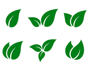 Fototapeta premium zestaw ikon zielonych liści