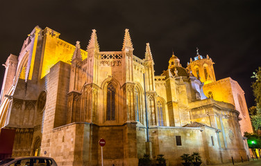 Cathedral of Tarragona in the evening. Catalonia, Spain