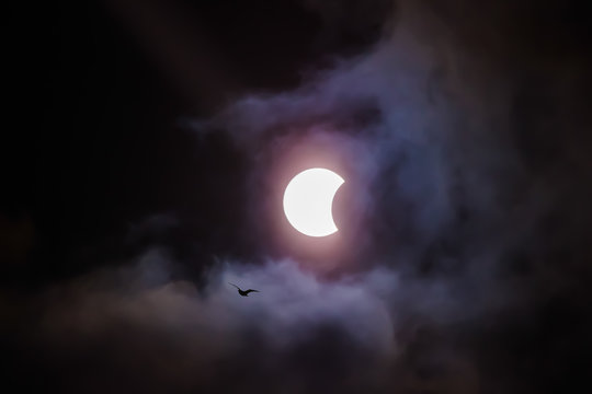 Partial solar eclipse. Murmansk, Kola Peninsula