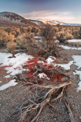 Mono Lake California