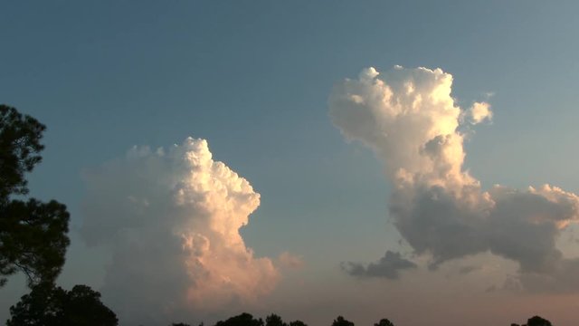 The Old and the New Cumulus Buildups