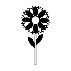 cute flower garden isolated icon vector illustration design