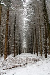 Fototapeta premium randonnée hivernale en Auvergne