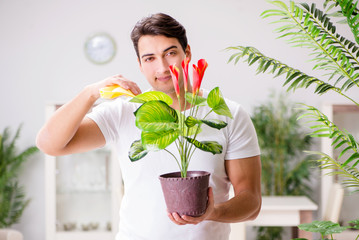 Man taking care of plants at home