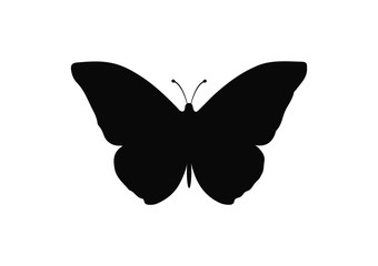 Butterfly silhouette vector icon isolated on white - 133419316