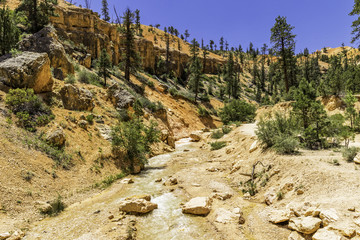 Sheep Creek / Bryce Canyon National Park