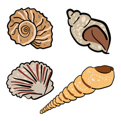 Set of hand drawn seashells, vector