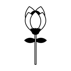 cute flower garden isolated icon vector illustration design