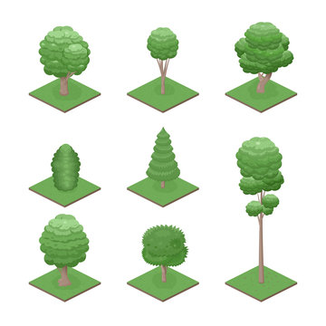 Isometric view summer trees. Green trees icon. City plants set. Game design. Vector illustration.