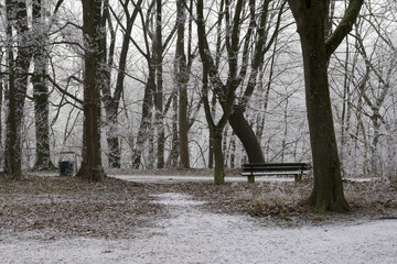 Wald im Winter mit Bank