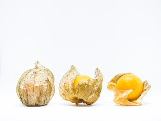 Closeup of 3 steps of Cape Gooseberry isolated on gray background