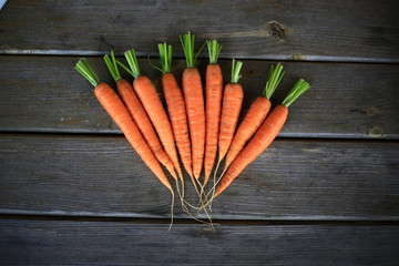 Морковь на столе 
