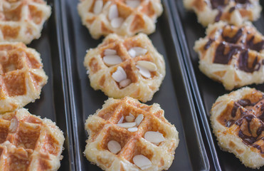 Candy chiffon nest evacuations in black tray.