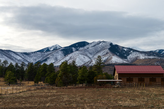 Mt. Eldin Flagstaff Arizona