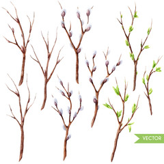 Vector hand drawn watercolor spring tree branches set isolated on white. Twigs with buds and leaves. 