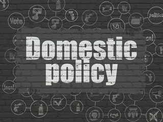 Politics concept: Domestic Policy on wall background