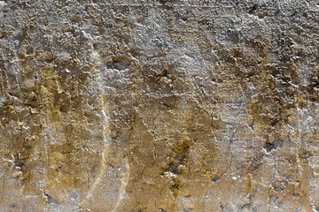 Textura rugosa  de Corte vertical de tierra arcillosa con grietas 