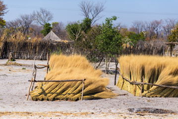 Mud straw and wooden hut with thatched roof in the bush. Local village in the rural Caprivi Strip,...
