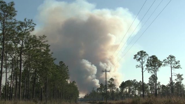 Wildfire Smoke Plume in Mississippi