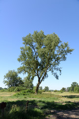 Obraz premium Landschaft im Loiretal