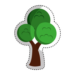 tree plant isolated icon vector illustration design