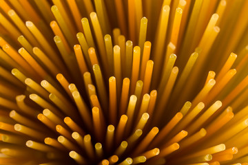 Bunch of various raw italian pasta