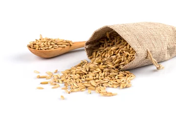 Fotobehang bowl of organic oat grains © romantsubin