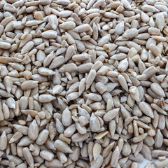 Shelled sunflower seeds
