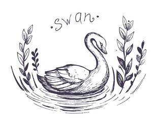 Obraz premium Swan