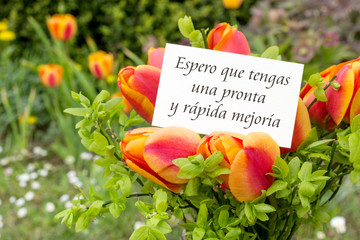 speedy recovery / Greeting card with tulips and spanish text: I hope you make a swift and speedy...